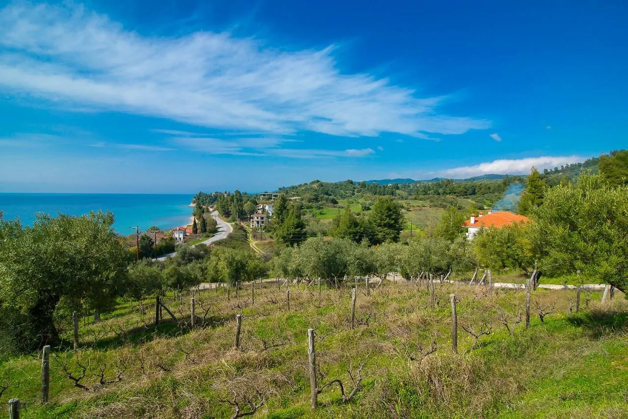 Twin Villas Neos Marmaras
